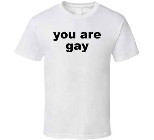 You Are Gay Funny T Shirt