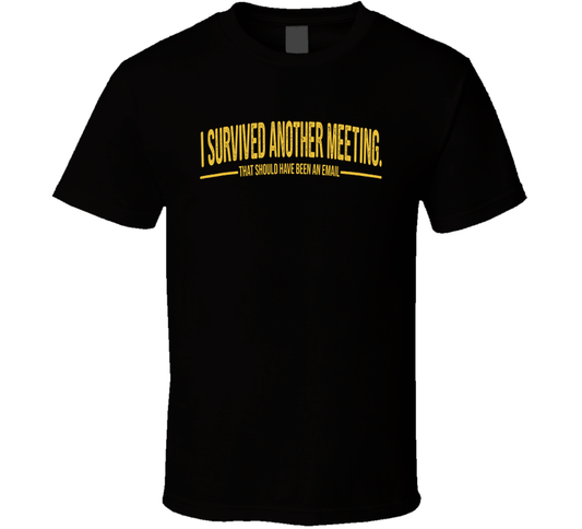 I Survived Another Meeting That Should Have Been An Email Funny T Shirt