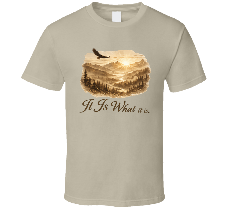 It Is What It Is Funny T Shirt