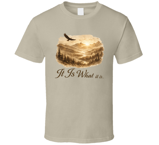 It Is What It Is Funny T Shirt