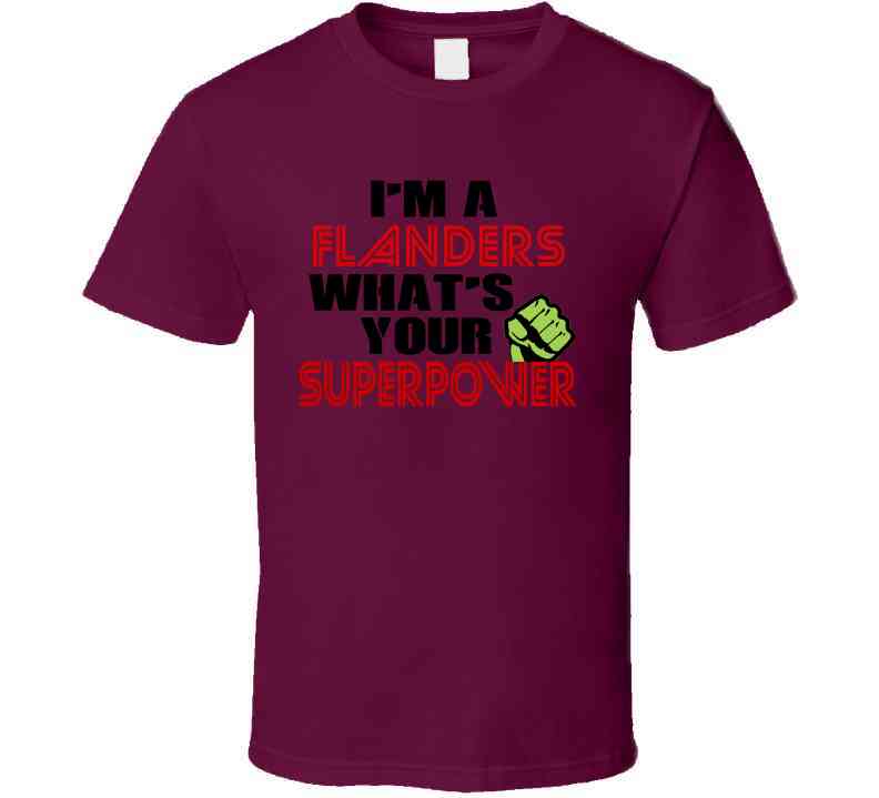 Im A Flanders Whats Your Superpower Funny Last Name Cool T Shirt